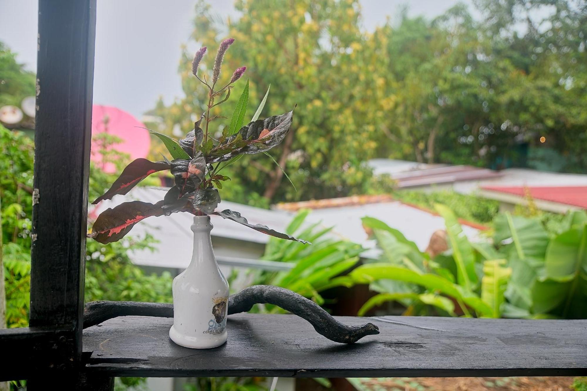Mar Caribe Pv Hotell Puerto Viejo de Talamanca Eksteriør bilde
